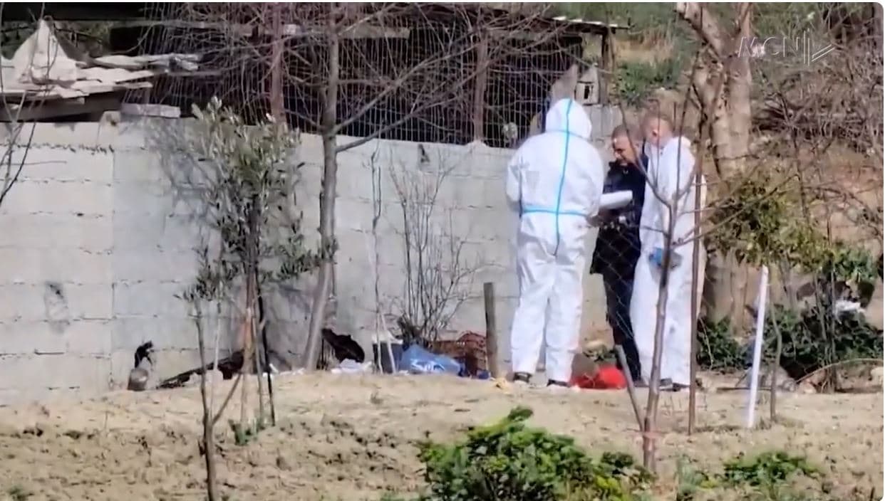 Akuzohen për vrasjen dhe groposjen e babait. Shtyhet seanca për 3 fëmijët e Pëllumb Metës