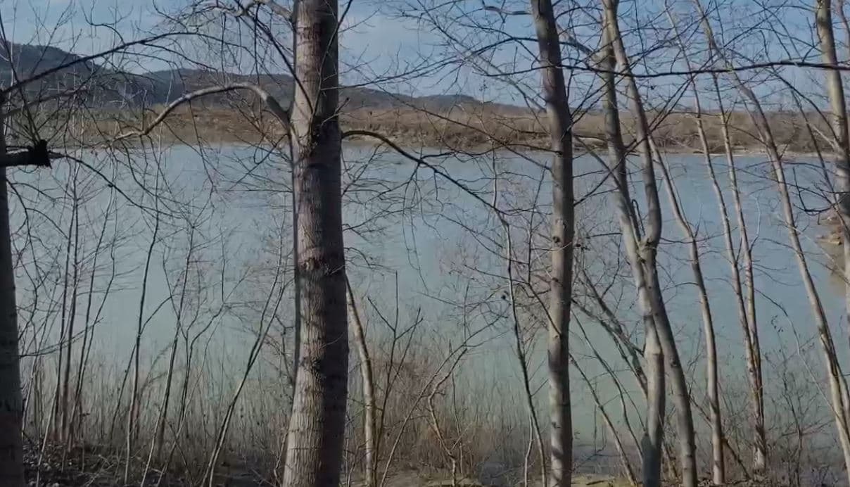 Dalin për peshkim në Vjosë, zhduket njëri nga shokët/ Nisin kërkimet me polumbarë