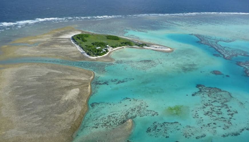 Zbardhja e koraleve në shkëmbin madhor të Australisë arrin nivele 'katastrofike'