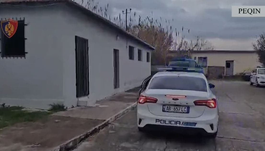 Mbante armë pa leje në banesë, arrestohet 31-vjeçari në Peqin