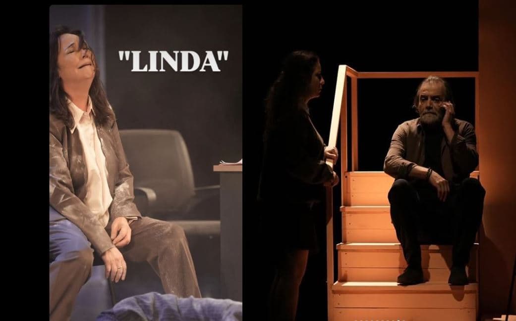  31 janar, 1, 2 shkurt/ Teatri Kombëtar sjell dramën e gruas moderne me shfaqjen “Linda”
