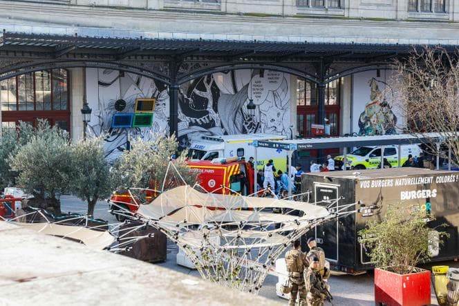 Pikturoi zvastikën në stacionin e trenit në Paris, qëllohet me armë siriani