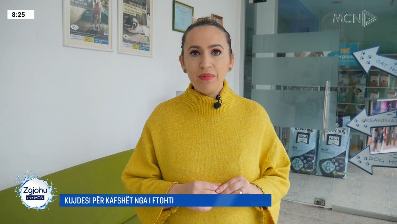 Veterinerja tregon si të mbrojmë kafshët shtëpiake nga i ftohti dhe virozat