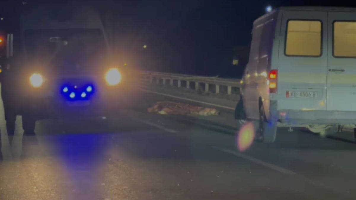Makina përplas për vdekje një person në aksin Korçë-Pogradec (VIDEO)