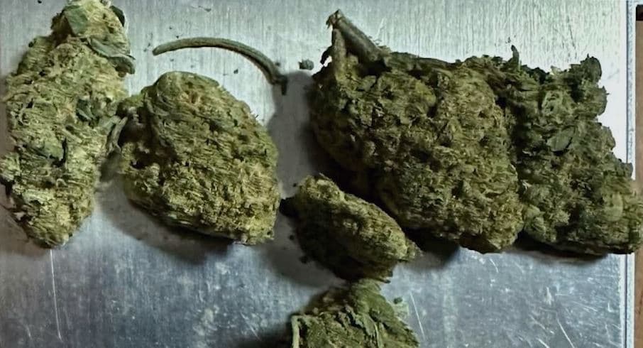 Shpërndante drogë në Berat, Kuçovë dhe Dimal, arrestohet një person