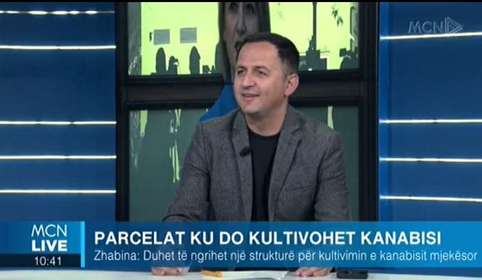 Zhabina: Grupe të caktuara interesi do merren me kultivimin e kanabisit mjekësor, luftë për marrjen e licencave (VIDEO)