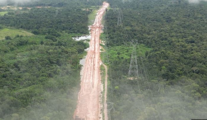 Prerja e drurëve në pyllin e Amazonës për ndërtimin e rrugës për samitin e klimës