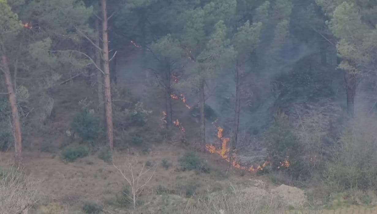Fier, zjarr me përmasa të mëdha në kodrat me pisha të buta në Gjorgoz 