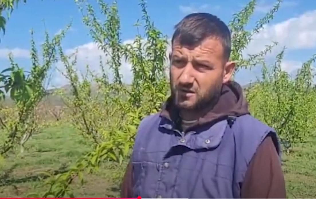 Moti “kërcënon” pjeshkën (VIDEO)