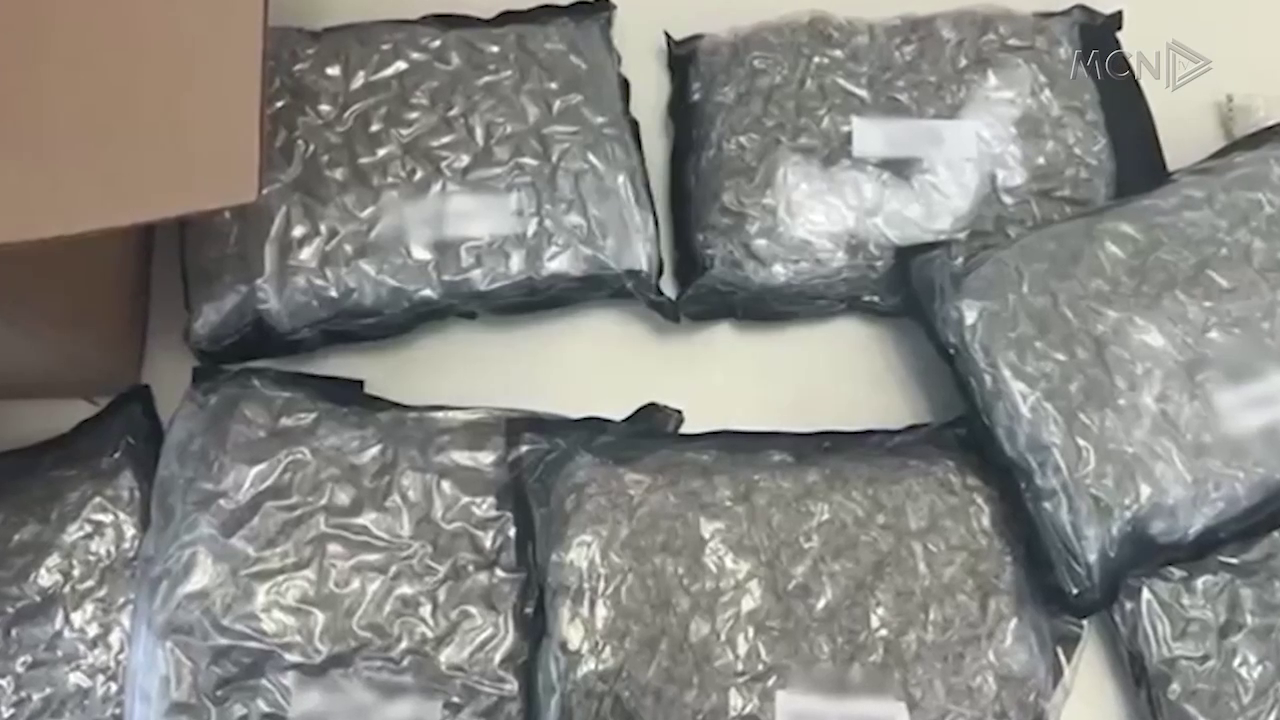 Kanabis me postë nga SHBA / Prokuroria: 8 raste në një muaj, sekuestrohen mbi 15 kg drogë (VIDEO)