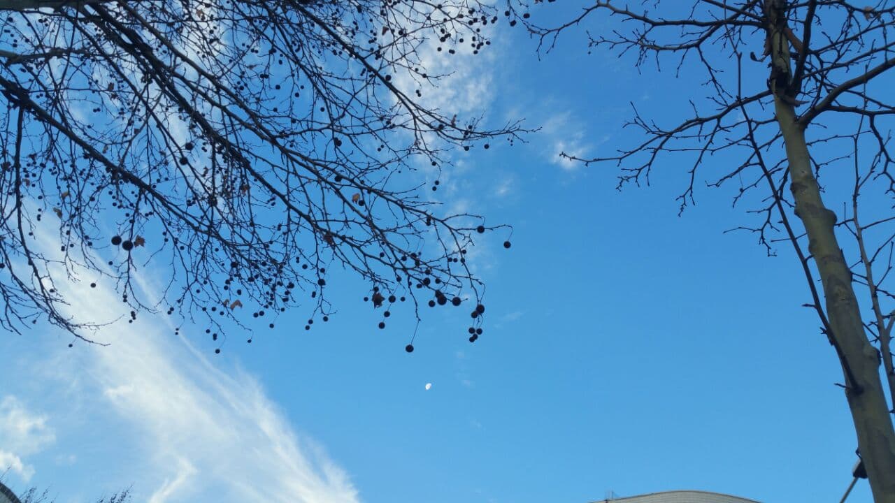 Moti sot/ Kthjellime e ngritje graduale të temperaturave
