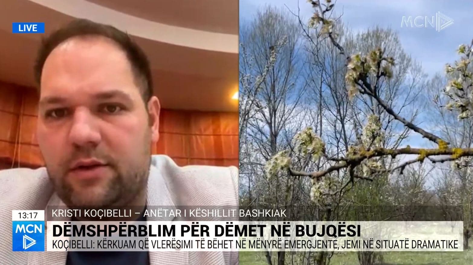 Koçibelli: Të dëmshpërblehen me urgjencë fermerët në Korçë! Situata dramatike (VIDEO)