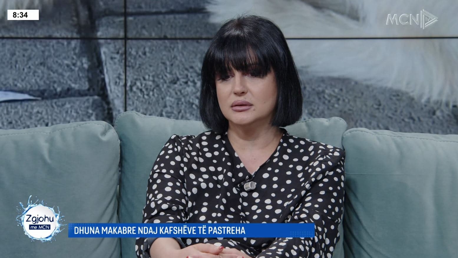 Dhuna ndaj kafshëve/ Caci: Jemi shoqëri e frustruar