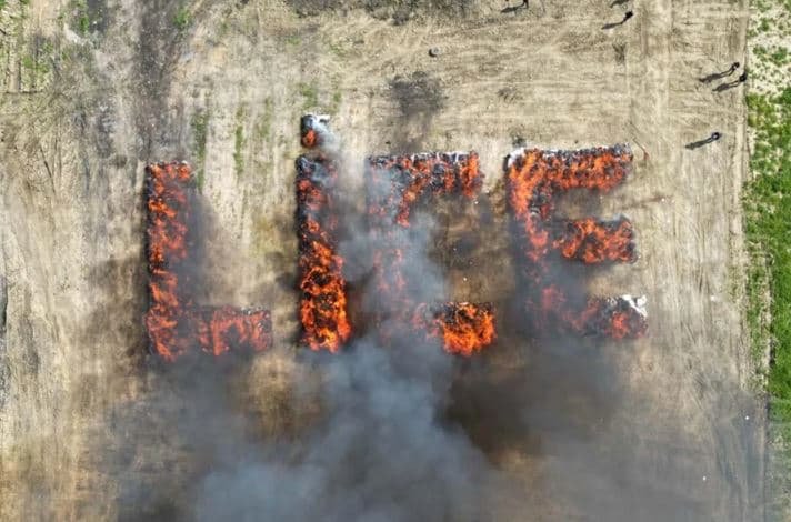 Plantacioni i madh i marijuanës digjet në ambient të hapur, mijëra persona përfundojnë në spital