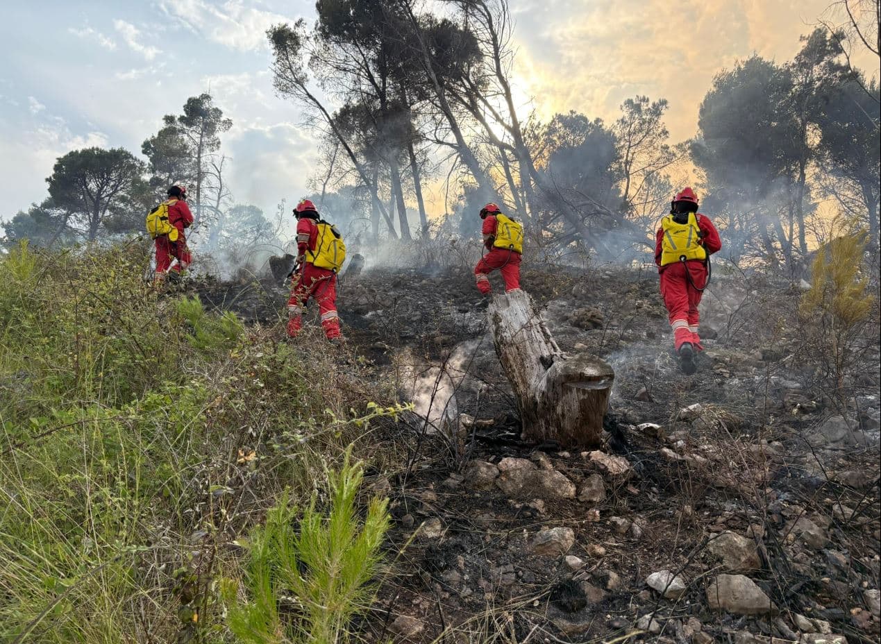 Situata me zjarret/ Agjencia e Mbrojtjes Civile: Neutralizohen 9 vatra në pesë bashki