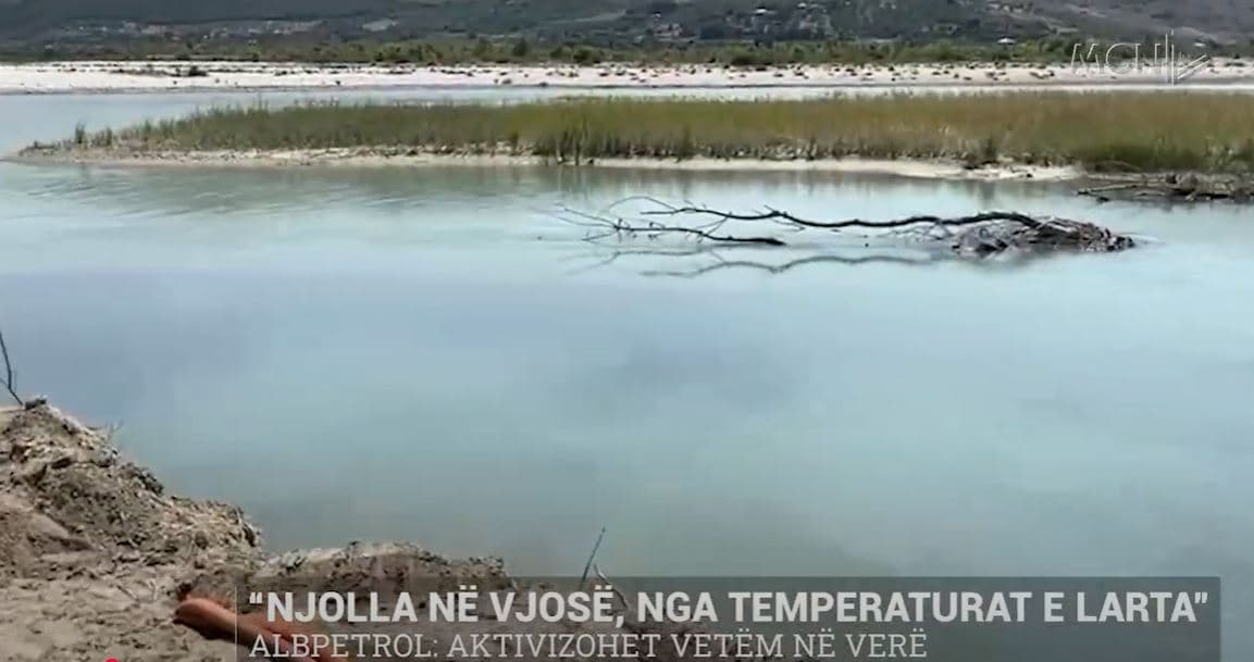 “Njolla në Vjosë, nga temperaturat e larta”, ALPETROL: Aktivizohet vetëm në verë (VIDEO)