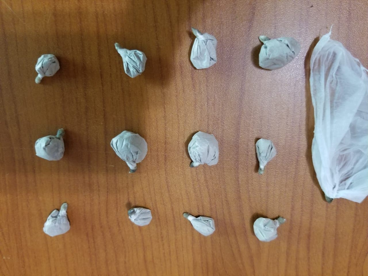 Shiste kokainë, MDMA dhe kanabis në plazhin e Jalës, arrestohet një person