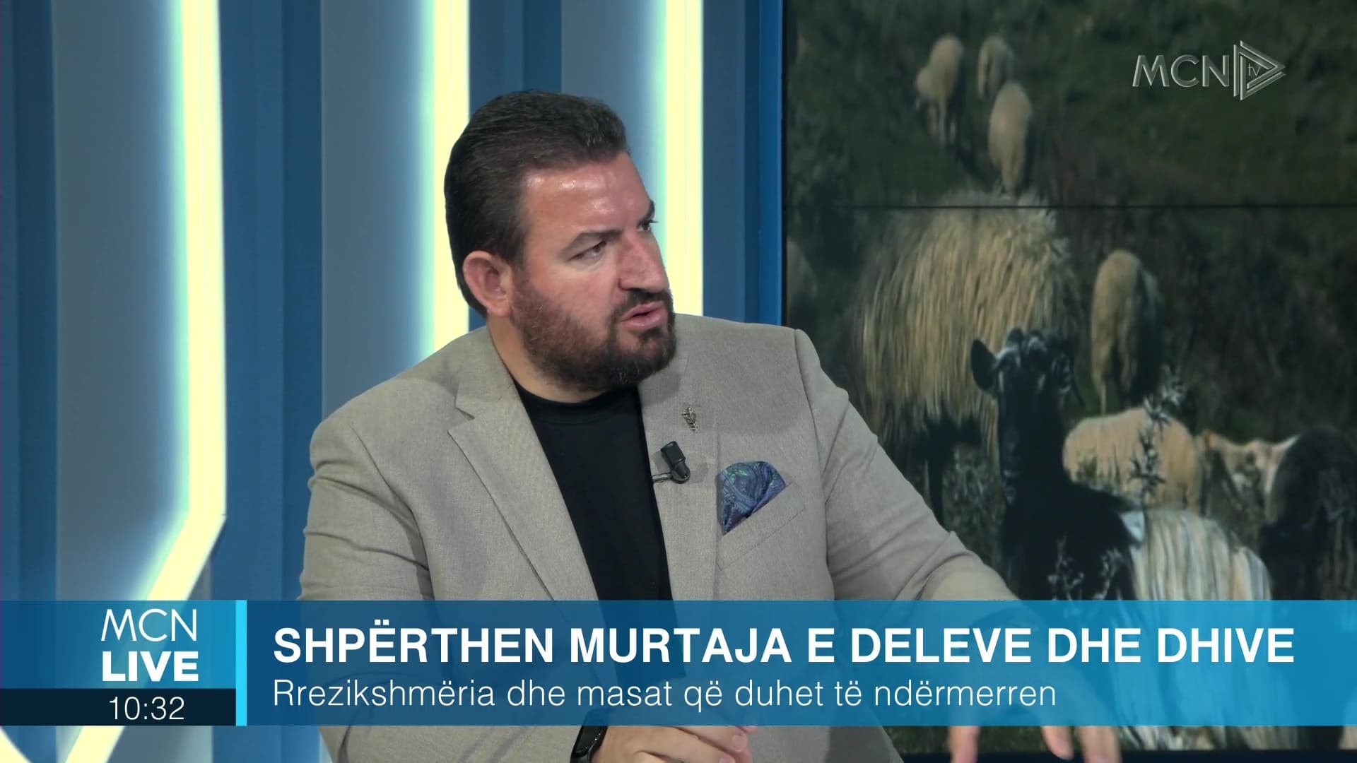 Shpërthen murtaja e deleve dhe dhive/ Resuli: Nëse prek tufën, vdekshmëria arrin deri në 100%. Temperaturat e larta ulin virulencën e virusit (VIDEO)