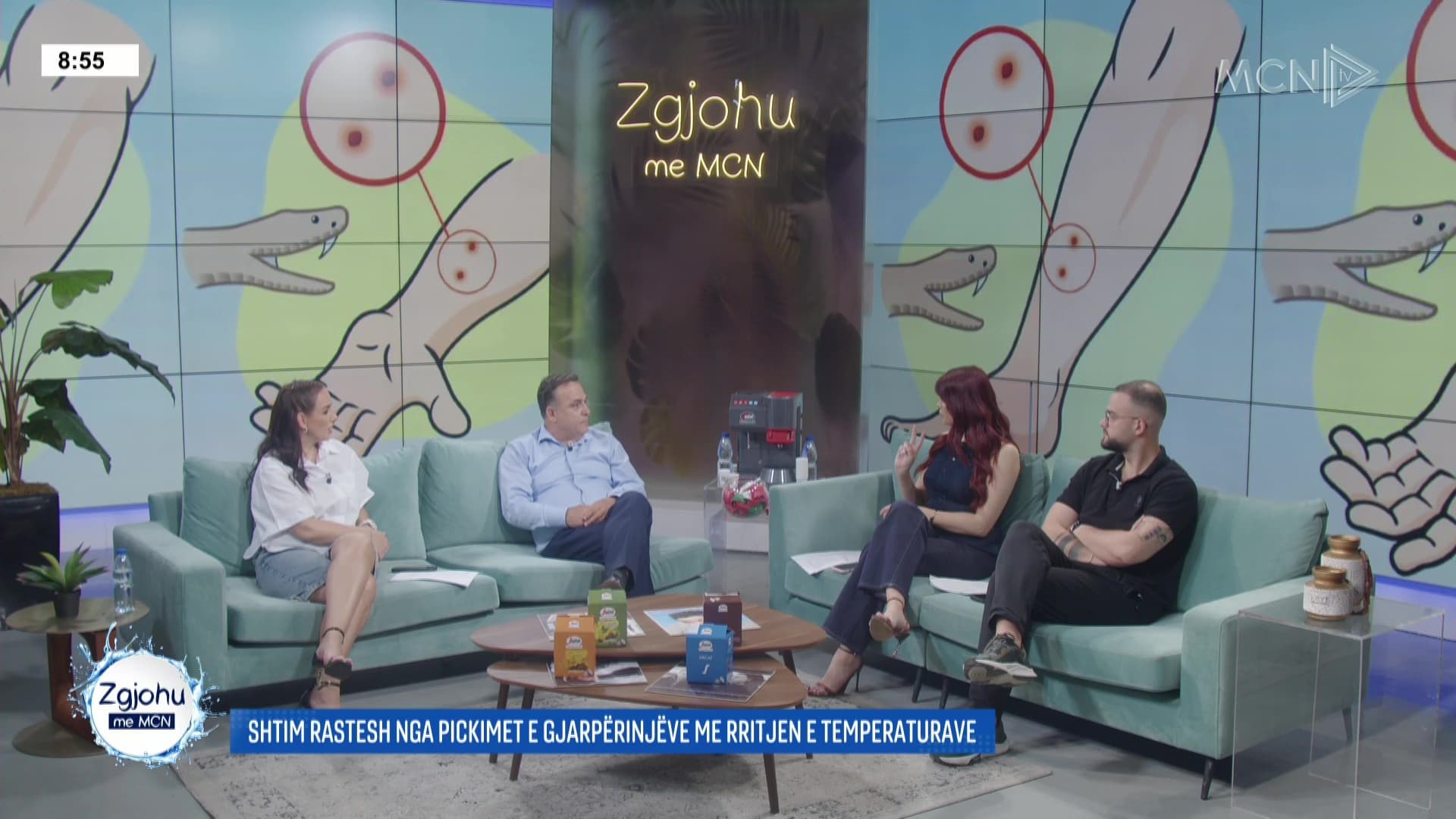 Pickimet nga gjarpërinjtë në verë/ Toksikologu Drishti: Rreziku vjen vetëm pas katër orësh. Metoda e lidhjes së shpejtë të plagës, e gabuar
