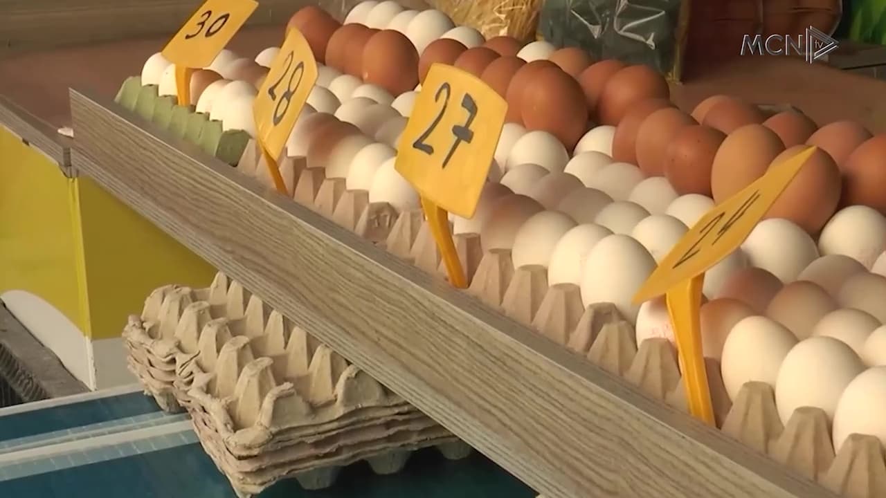 Çmimet në Shqipëri më shtrenjtë se në BE / Vezët, djathi dhe qumështi, sa 131% e mesatares së BE (VIDEO)