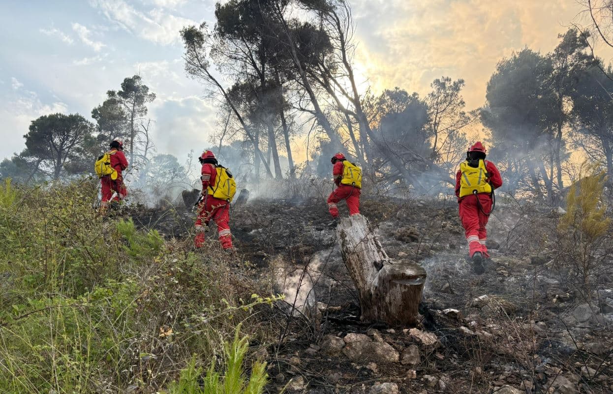 58 vatra zjarri në vend, shkatërrohen dhjetëra hektarë
