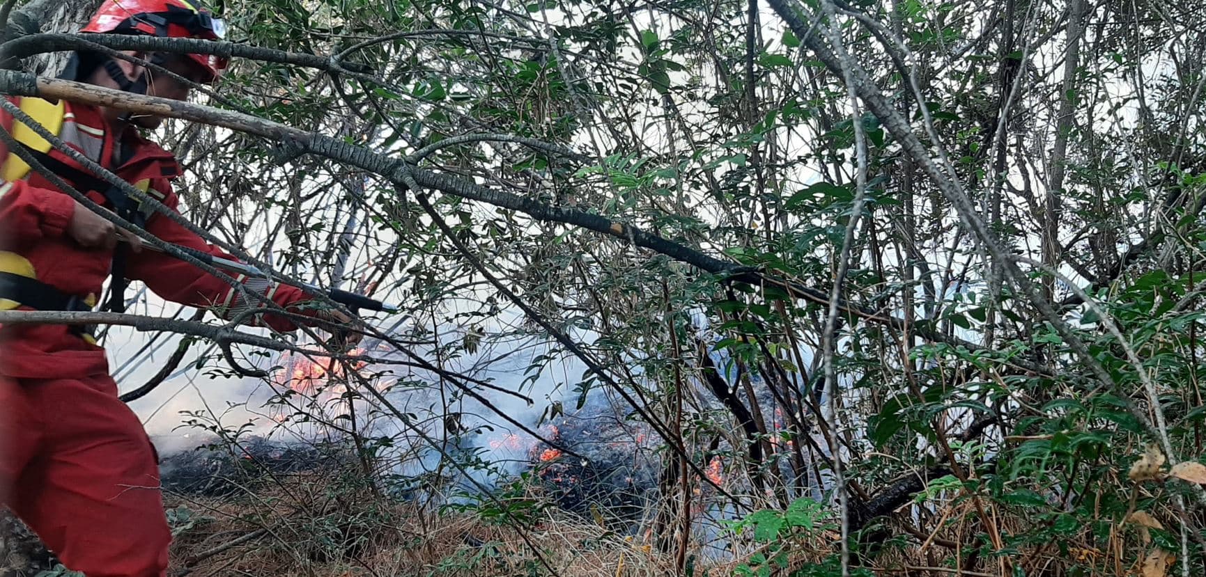 20 vatra zjarri në 24 orët e fundit, tre ende aktive