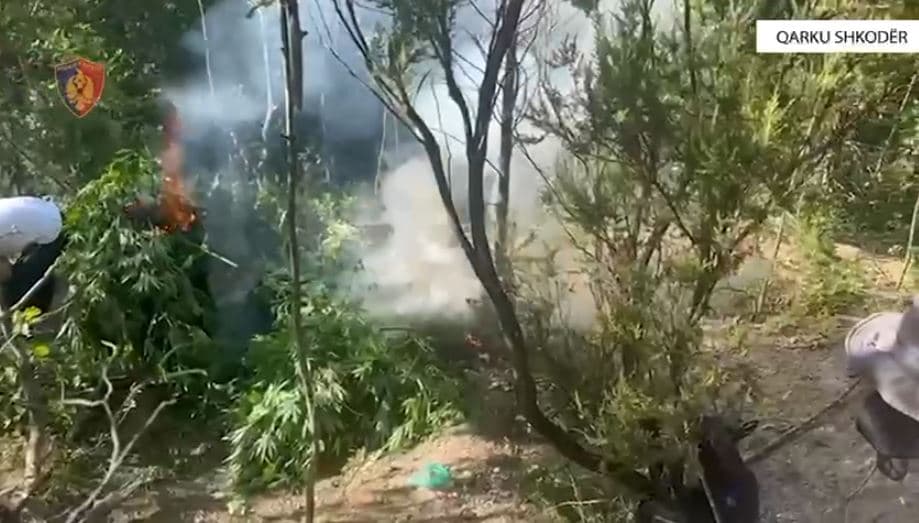 18 vatra zjarri në 24 orë, dy janë ende aktive 