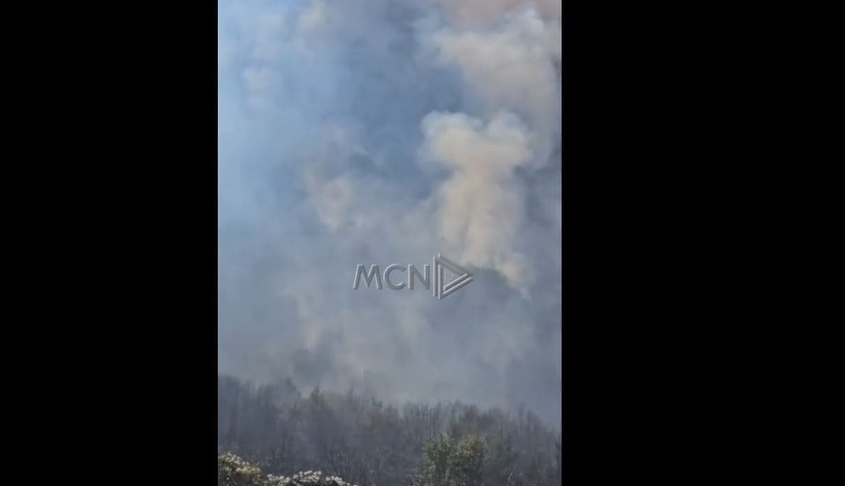 Zjarr masiv në Parkun Kombëtar të Prespës (VIDEO)