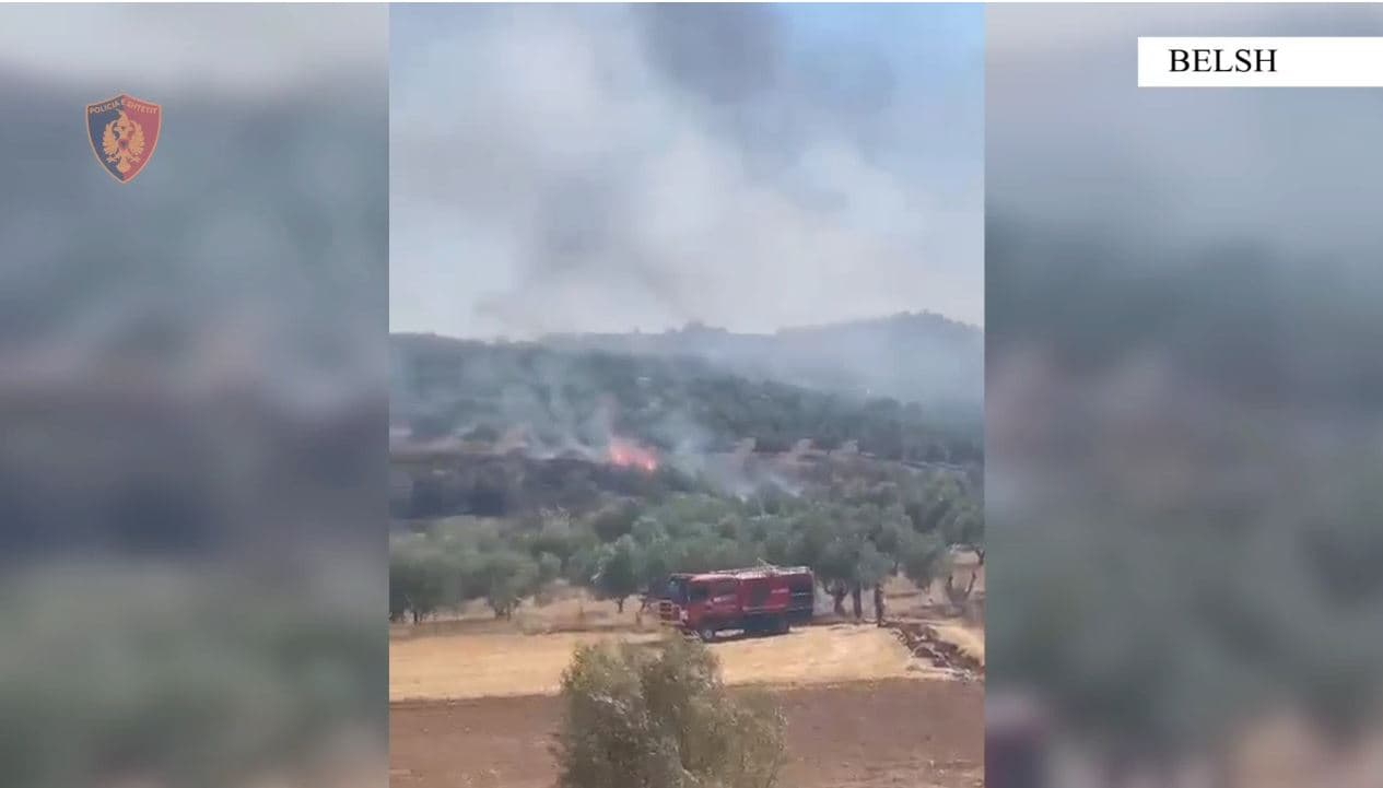   Ndezi zjarr në tokën e tij, u dogjën 40 ha tokë ulliri/ Arrestohet 64-vjeçari në Belsh