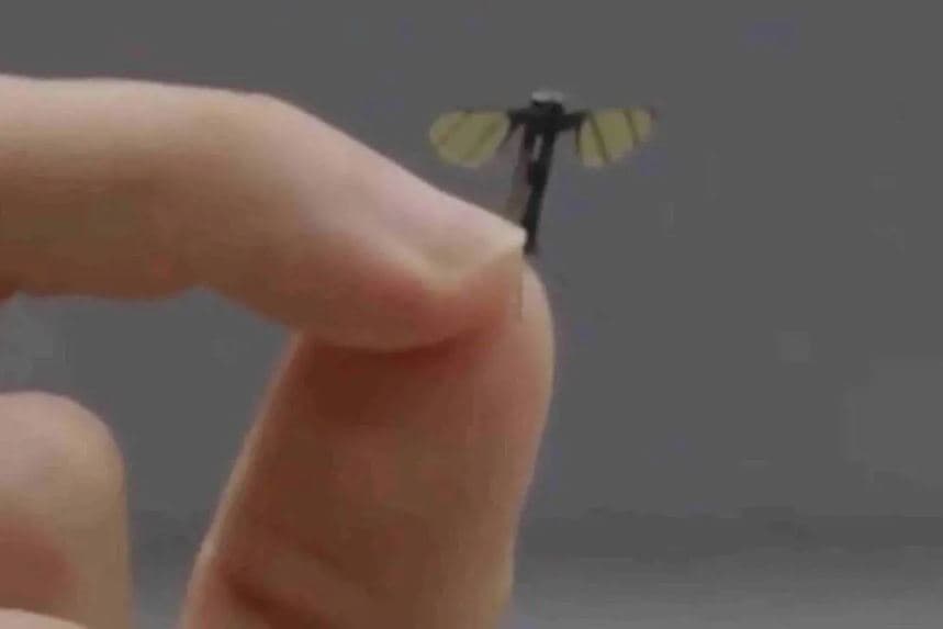 Droni super i fshehtë kinez, si funksionon roboti sa një mushkonjë