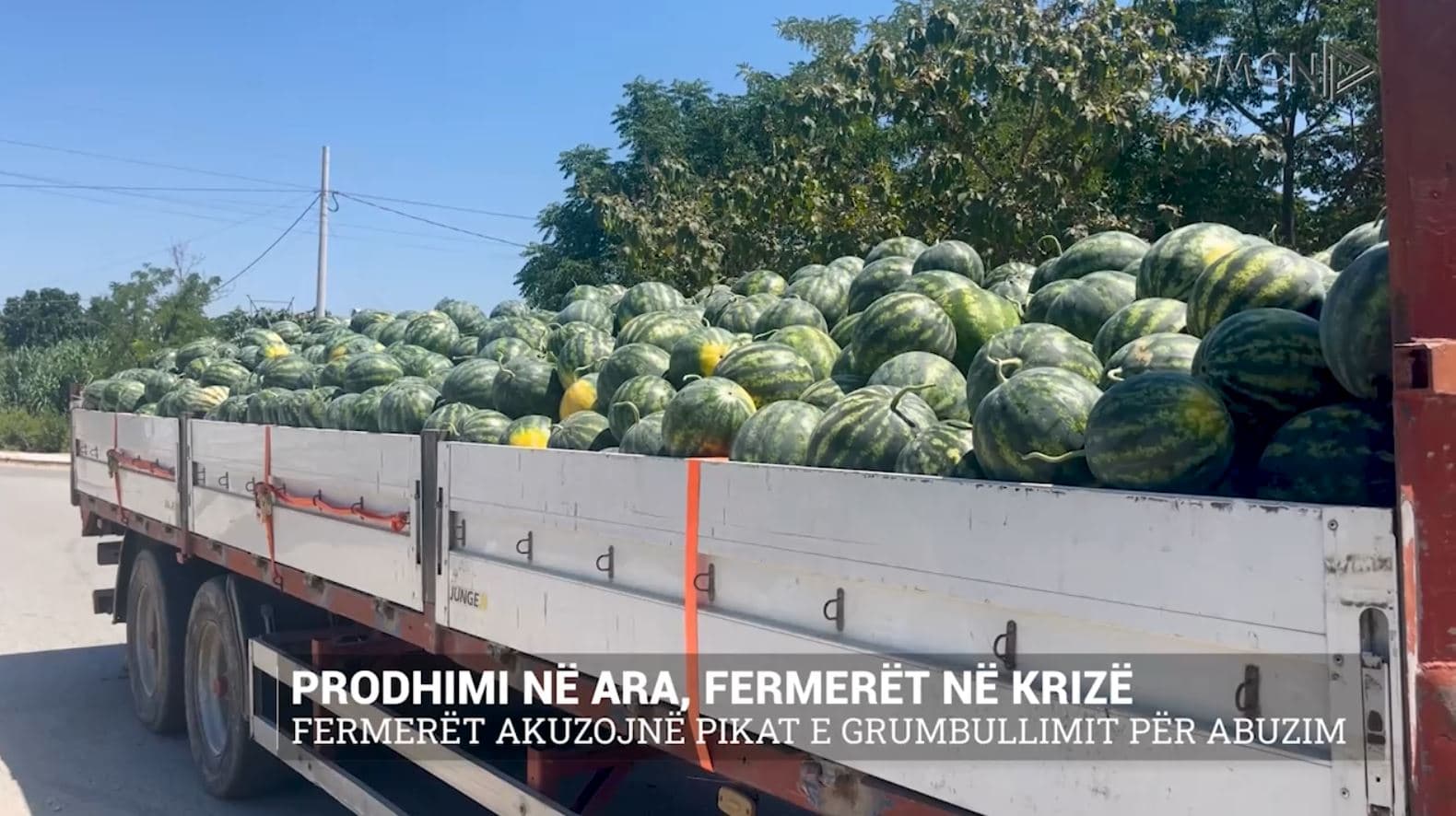 Prodhimi në ara, fermerët në krizë/ Fermerët akuzojnë pikat e grumbullimit për abuzim (VIDEO)