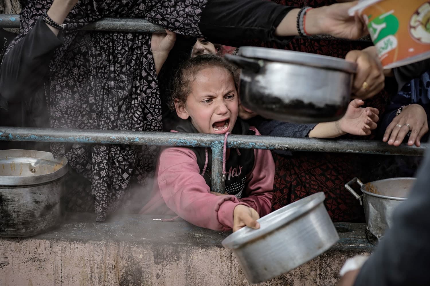 Ish-ambasadorët italianë, letër Melonit: Njihni shtetin e Palestinës, në Gaza po bëhet spastrim etnik