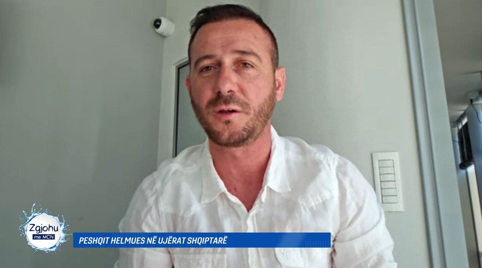 Peshqit helmues, zhytësi: Dy lloje shkaktojnë dhimbje të forta dhe kanë nevojë për trajtim 
