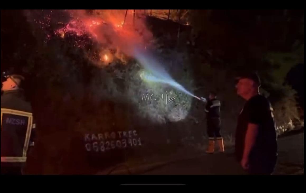         Zjarri përfshin masivin pyjor në zonën e Shkopetit, angazhohen zjarrfikës nga disa bashki (VIDEO)