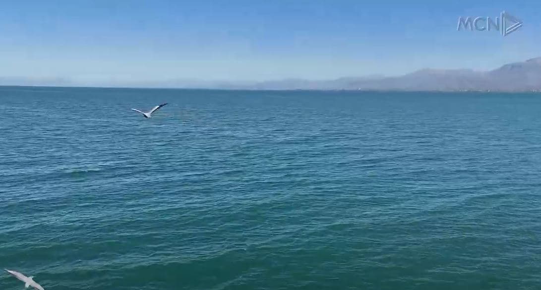 Zogaj, zbulimi i ri i turistëve të huaj/ Eksplorime, shëtitje dhe udhëtime me varkë (VIDEO)