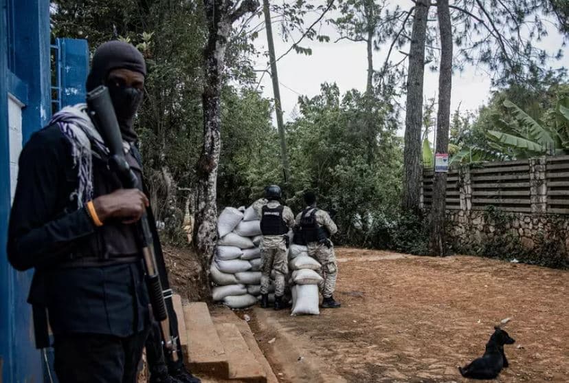 Haiti, rrëmbehen misionari dhe një djalë 3-vjeçar me aftësi të kufizuara