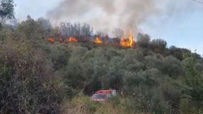     Dy të mitur ndezin zjarr në një banesë të braktisur, pësojnë sipërfaqe me pemë frutore në Maliq 