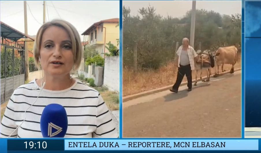 Zjarret/ Vijon situata kritike në Gramsh, 10 fshatra të përfshira nga flakët 