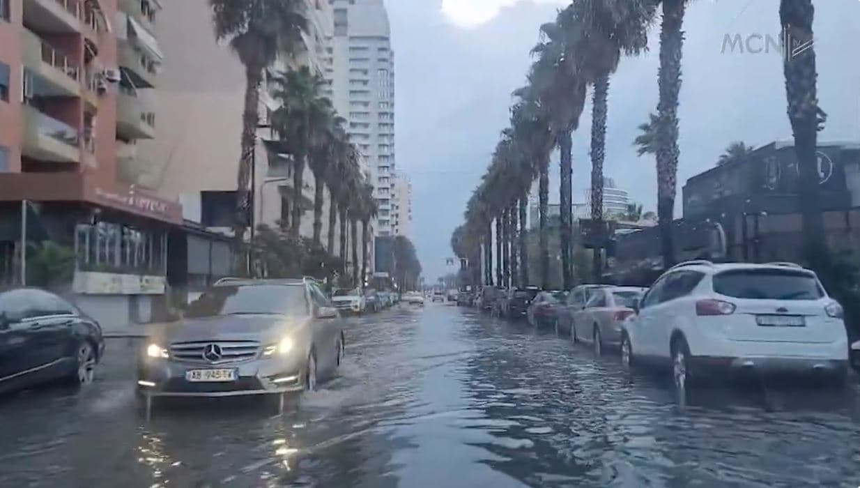 Shiu shuan zjarret. U dogjën qindra sipërfaqe me pyje dhe kullota