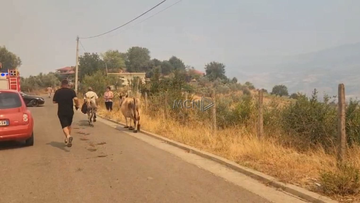 Përkeqësohet situata e zjarrit në Gramsh, nis evakuimi i banorëve dhe gjësë së gjallë në Nartë (VIDEO)