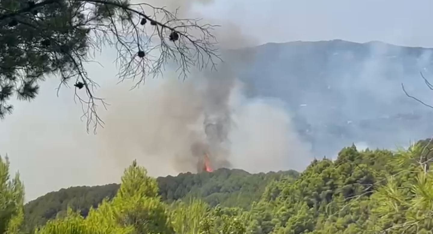 Vijon zjarri në fshatrat e Patosit, digjen 5 hektarë pyje dhe shkurre 
