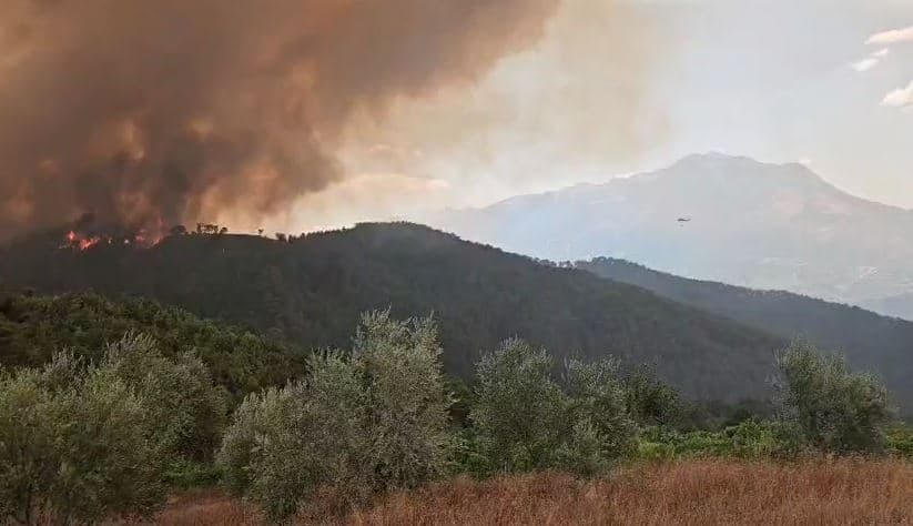Vdes nga asfiksia 80-vjeçari në Gramsh/ Ndezi zjarr në kopshtin e tij, u përhap në të gjitha fshatrat