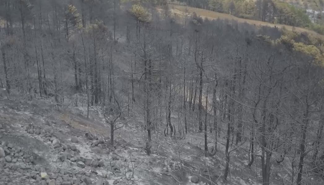Përmirësohet situata e zjarreve në Gramsh, vetëm një vatër aktive 