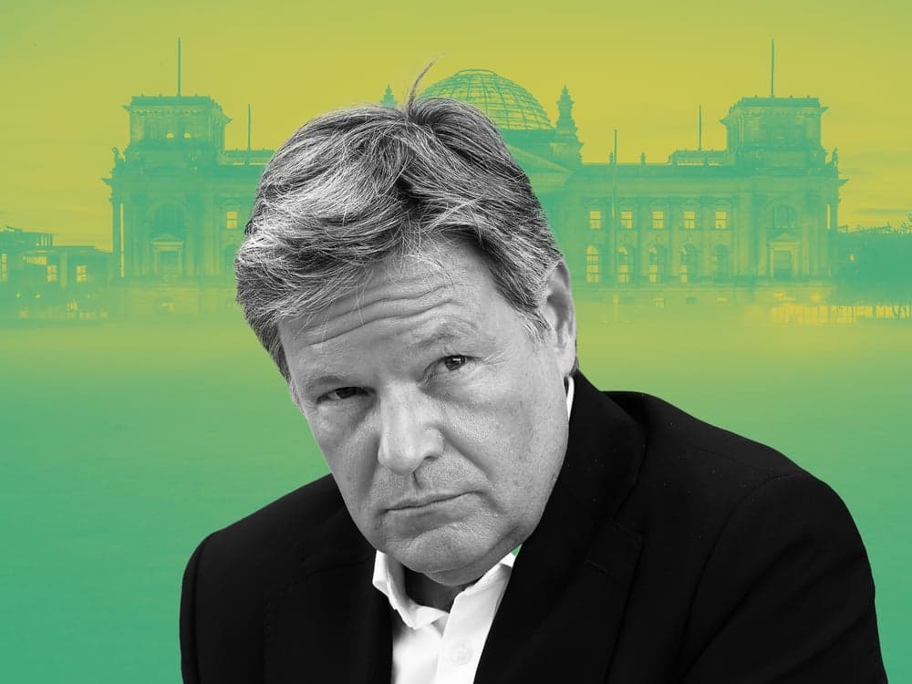Ish-zëvendëskancelari gjerman lë politikën për t’u bërë mësues