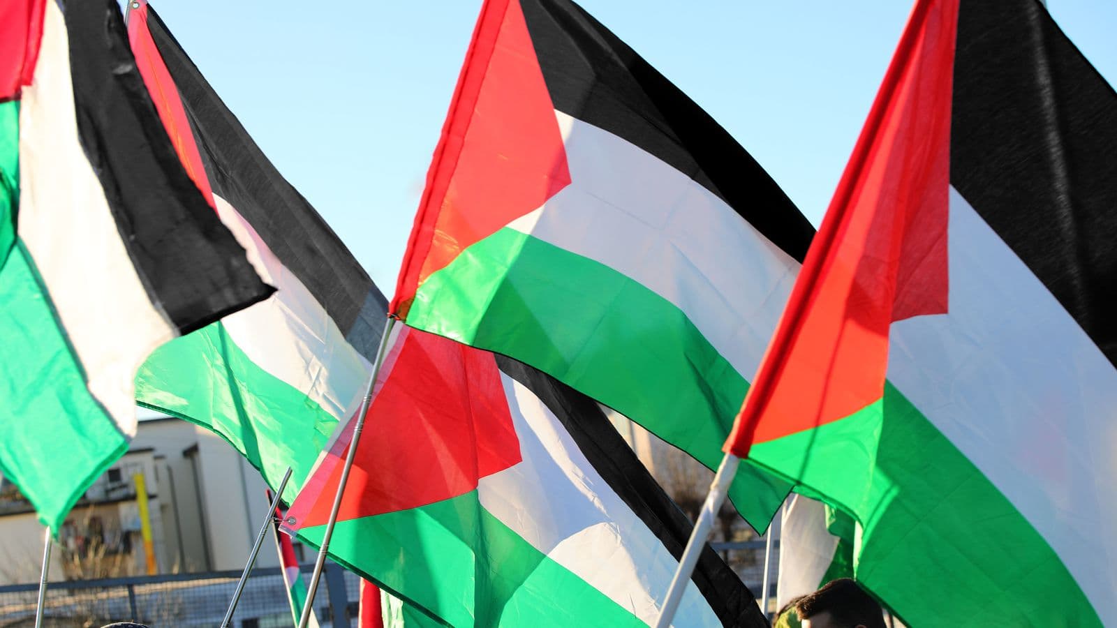 Zelanda e Re po shqyrton njohjen e shtetit palestinez