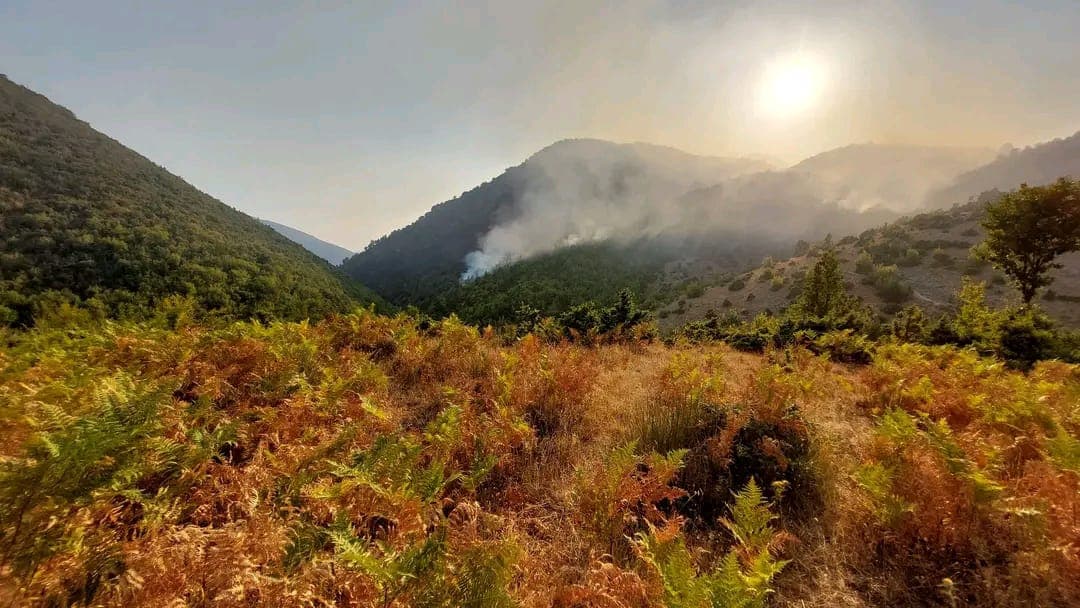 Flakët shuhen në "Syrin e Kaltër", aktivizohet zjarri përgjatë rrugës Sarandë-Muzinë (VIDEO)
