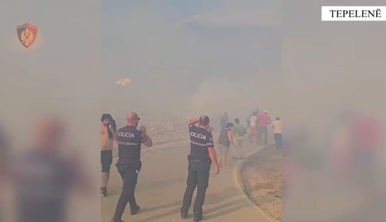 Shkaktoi zjarr masiv pasi dogji 5 stane, bagëti dhe mjedise pyjore/ Arrestohet 40-vjeçari në Tepelenë