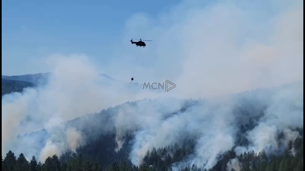 Zjarri përfshin sipërfaqe me dushk dhe pisha në Miras të Devollit, ndërhyhet nga ajri (VIDEO)