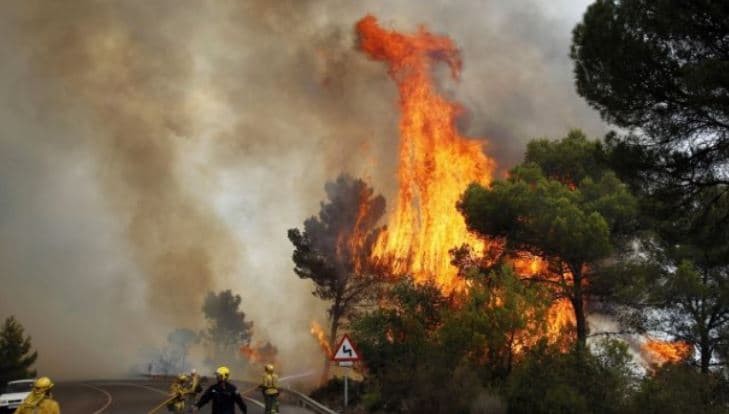 Vijojnë të jenë aktive zjarret në Spanjë, 350 mijë hektarë janë djegur në ditët e fundit