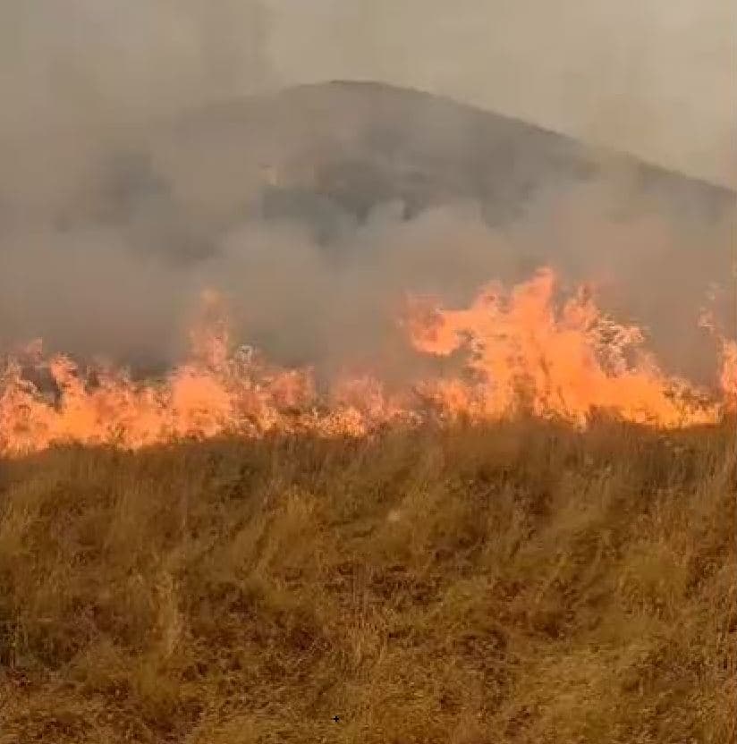 Flakët pushtojnë malin e Sopotit/ Kërcënohet nga flakët Gjirokastra dhe Lazarati (VIDEO)